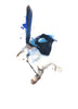 Blue Wren Vintage - Gift Cards